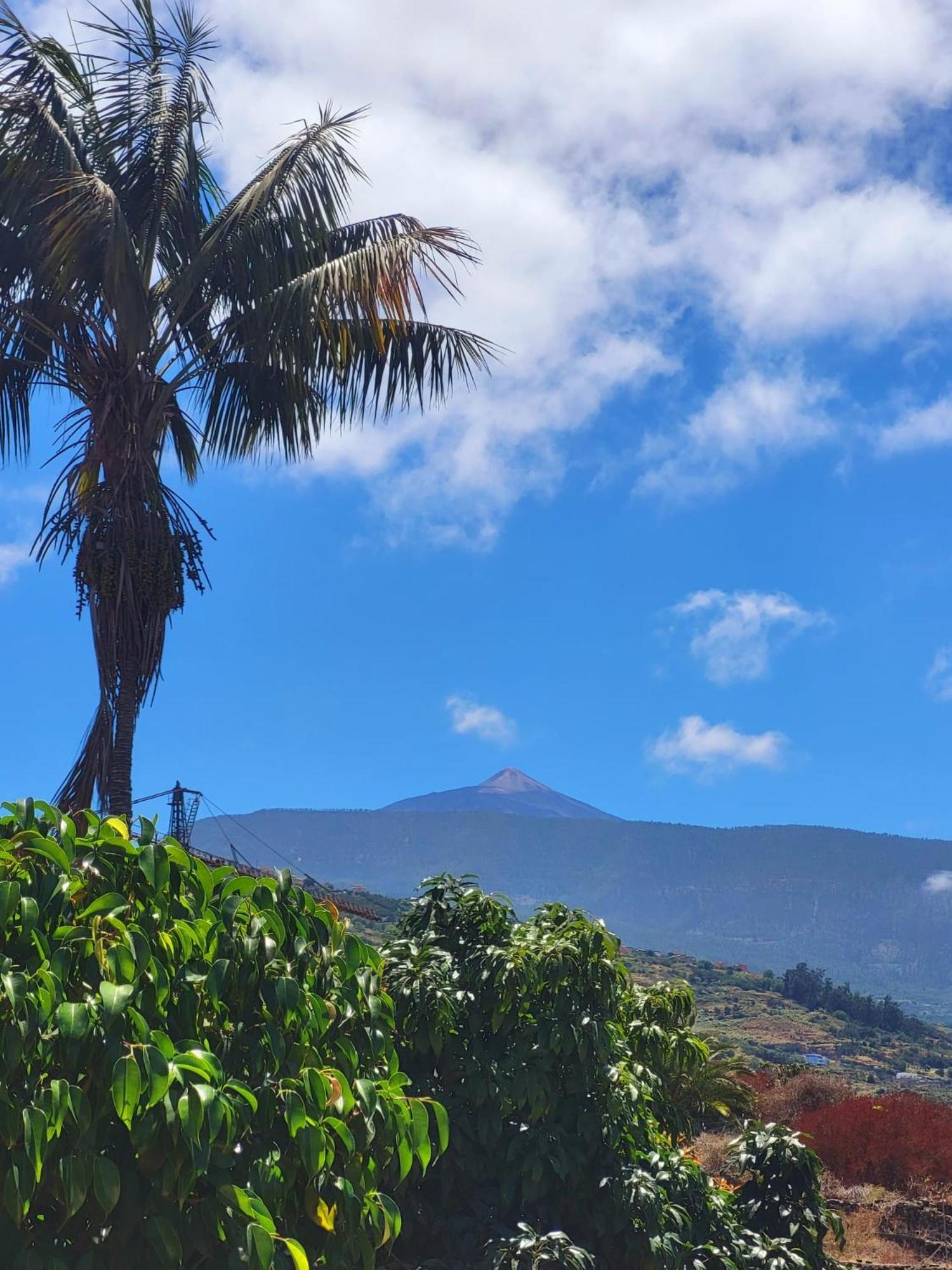 Orotava Garden House Perfect For Families Villa ลาโอโรตาวา ภายนอก รูปภาพ